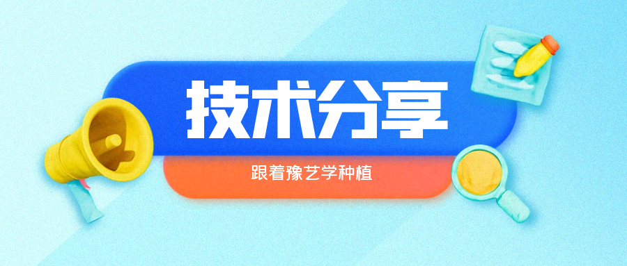 秋大棚辣椒、番茄育苗關(guān)鍵技術(shù)分享